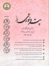 فصلنامه پترولوژی