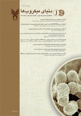 دنیای میکروب ها