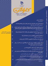 دوفصلنامه کارافن