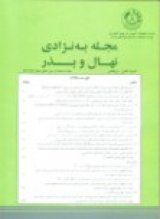 به نژادی نهال و بذر