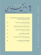 پوستر فصلنامه دانش حسابداری