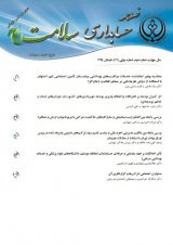 پوستر دو فصلنامه علمی پژوهشی حسابداری سلامت