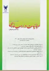 پوستر مجله عرفانیات در ادب فارسی